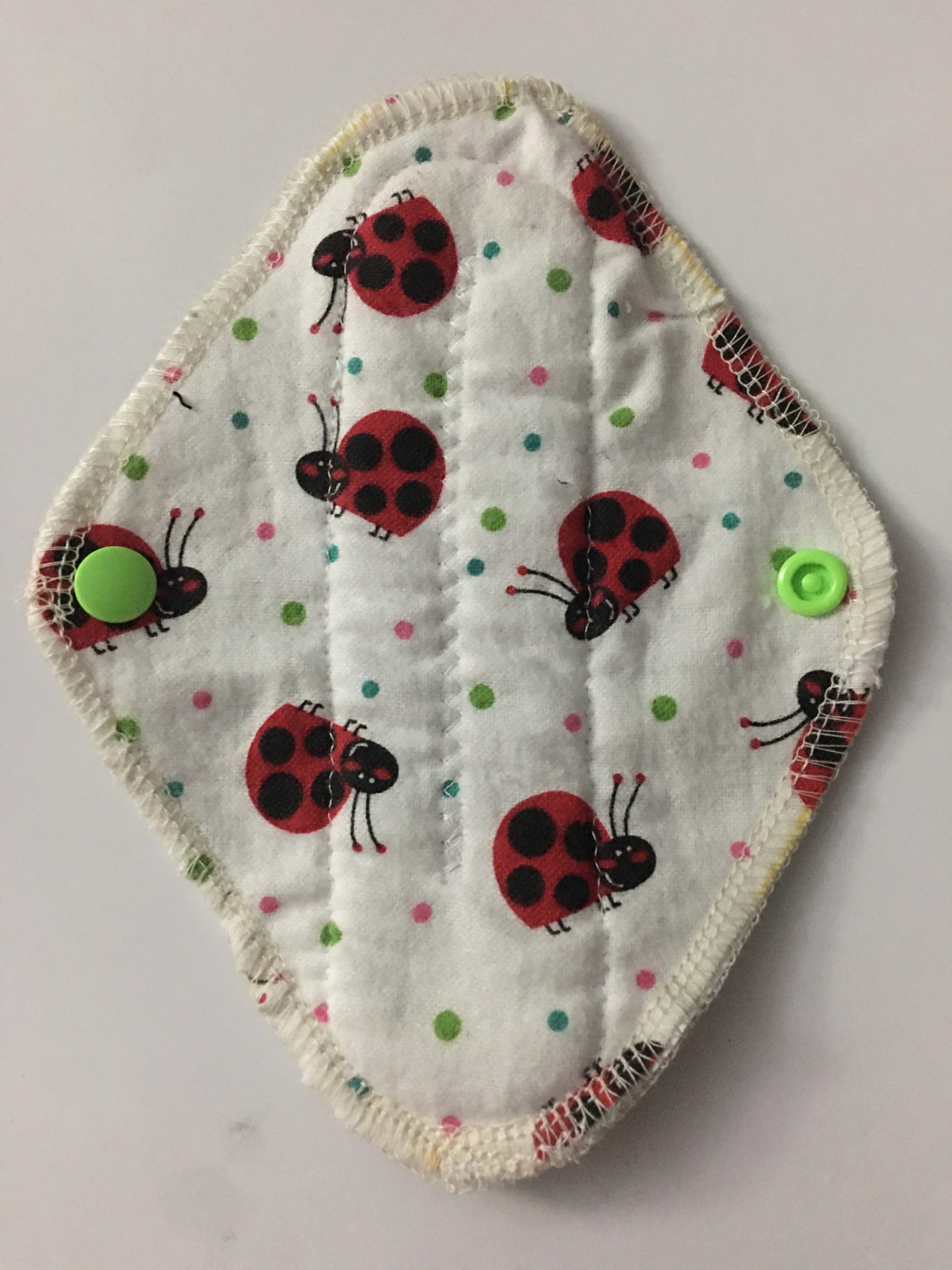 Lady Beetles Heavy
