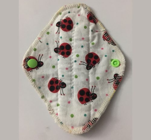 Lady Beetles on White Heavy